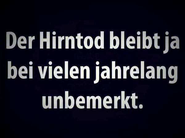 6_10345930_1448391898734028_3179011320550243156_n
